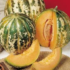 meloen ananas