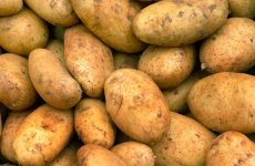 aardappelen nieuwe oogst