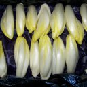 grondwitloof 2de klasse 500 gram