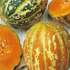 meloen  oranje ananas