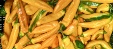Paprika  geel zoete punt  500 gram