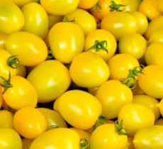Snoeptomaten geel